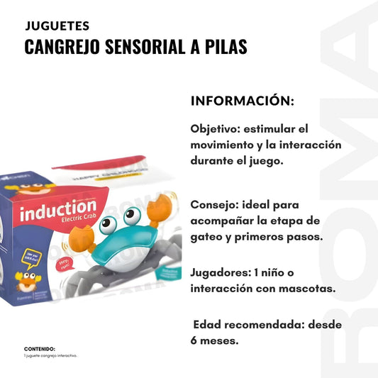 CANGREJO SENSORIAL A PILAS