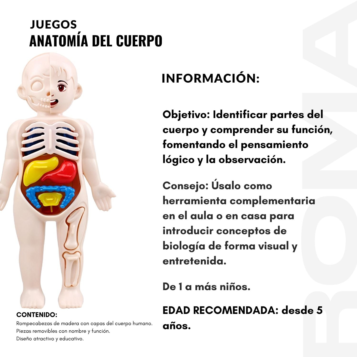 ANATOMÍA DEL CUERPO - JUEGO DIDÁTICO