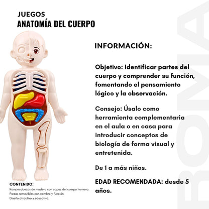 ANATOMÍA DEL CUERPO - JUEGO DIDÁTICO