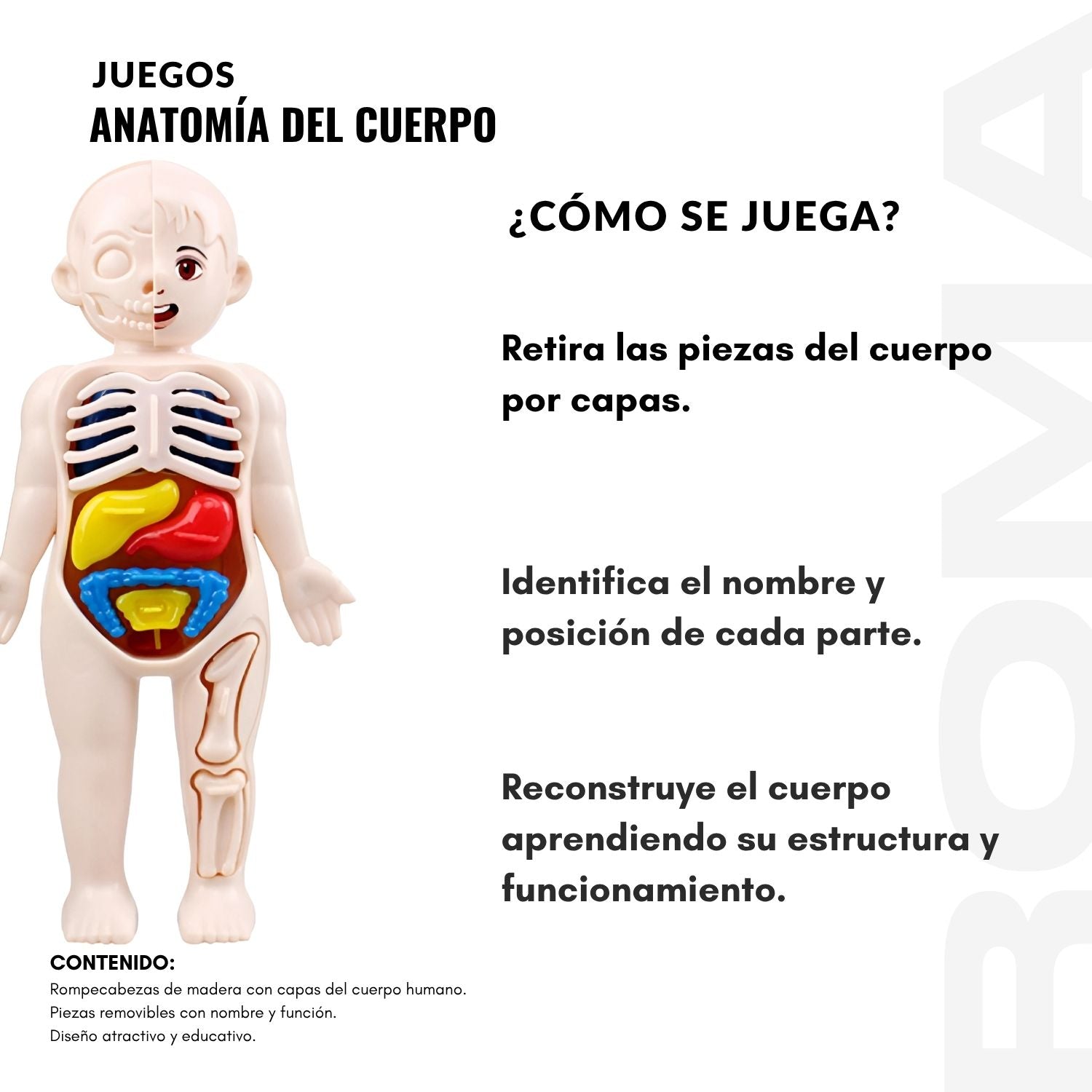 ANATOMÍA DEL CUERPO - JUEGO DIDÁTICO