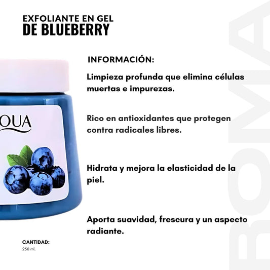 EXFOLIANTE EN GEL DE BLUEBERRY 250ML BIOAQUA