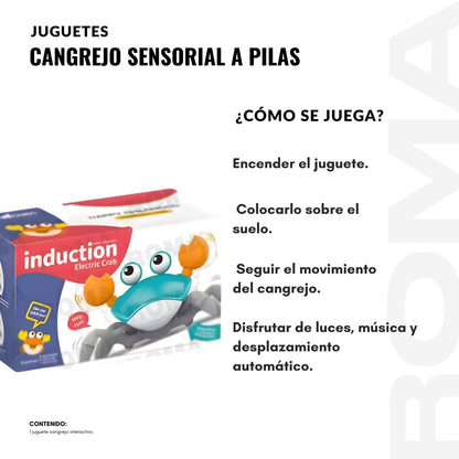 CANGREJO SENSORIAL A PILAS