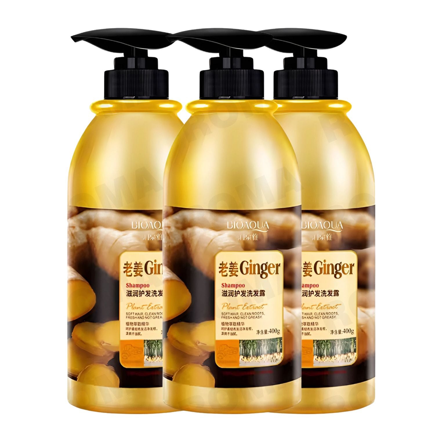 SHAMPOO DE JENGIBRE BIOAQUA 400ML